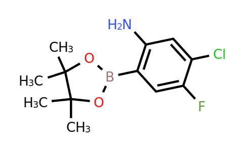 1807972-53-7 | 5-CHloro-4-fluoro-2-(tetramethyl-1,3,2-dioxaborolan-2-yl)aniline