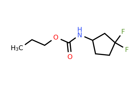 1881642-83-6 | propyl N-(3,3-difluorocyclopentyl)carbamate