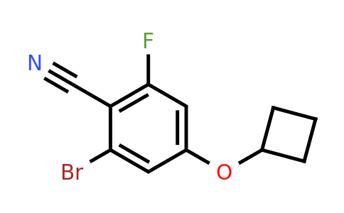 1956364-60-5 | 2-Bromo-4-cyclobutoxy-6-fluorobenzonitrile
