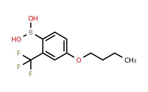 2096331-14-3 | (4-Butoxy-2-(trifluoromethyl)phenyl)boronic acid