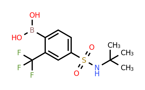 2096333-30-9 | 4-(N-tert-Butylsulfamoyl)-2-trifluoromethylphenylboronic acid