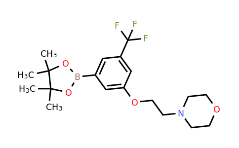 2096333-37-6 | 3-(2-Morpholinoethoxy)-5-(trifluoromethyl)phenylboronic acid, pinacol ester
