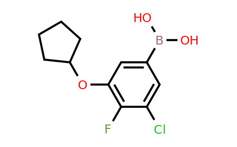 2096339-30-7 | (3-Chloro-5-(cyclopentyloxy)-4-fluorophenyl)boronic acid