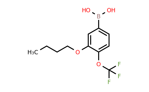 2096339-68-1 | (3-Butoxy-4-(trifluoromethoxy)phenyl)boronic acid