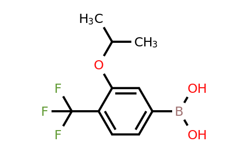 2096341-53-4 | (3-Isopropoxy-4-(trifluoromethyl)phenyl)boronic acid