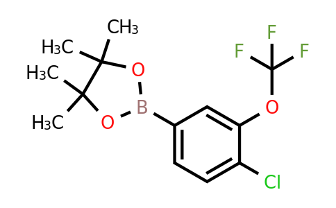 2098632-65-4 | 2-(4-Chloro-3-(trifluoromethoxy)phenyl)-4,4,5,5-tetramethyl-1,3,2-dioxaborolane
