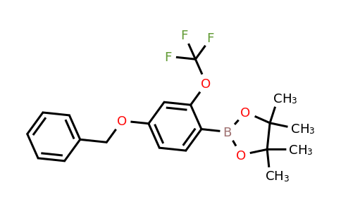 2121511-68-8 | 2-(4-(Benzyloxy)-2-(trifluoromethoxy)phenyl)-4,4,5,5-tetramethyl-1,3,2-dioxaborolane