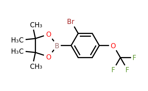 2121514-01-8 | 2-(2-Bromo-4-(trifluoromethoxy)phenyl)-4,4,5,5-tetramethyl-1,3,2-dioxaborolane