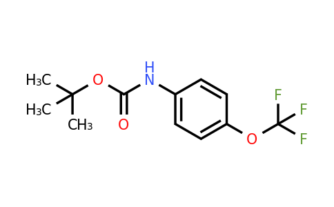 212696-37-2 | Tert-Butyl 4-(Trifluoromethoxy)Phenylcarbamate