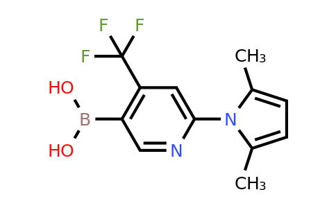 2209066-06-6 | (6-(2,5-Dimethyl-1H-pyrrol-1-yl)-4-(trifluoromethyl)pyridin-3-yl)boronic acid