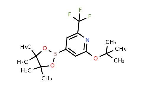 2223011-94-5 | 2-(tert-Butoxy)-4-(4,4,5,5-tetramethyl-1,3,2-dioxaborolan-2-yl)-6-(trifluoromethyl)pyridine