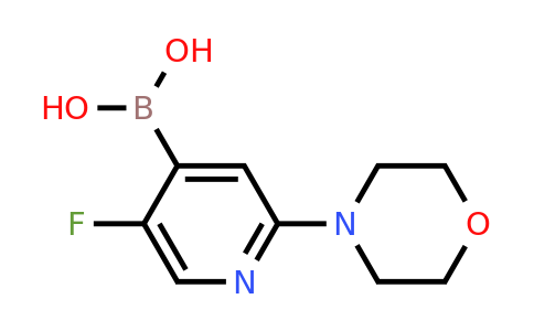 2225174-90-1 | [5-Fluoro-2-(morpholin-4-yl)pyridin-4-yl]boronic acid