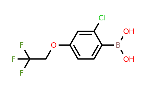 2304633-91-6 | (2-Chloro-4-(2,2,2-trifluoroethoxy)phenyl)boronic acid