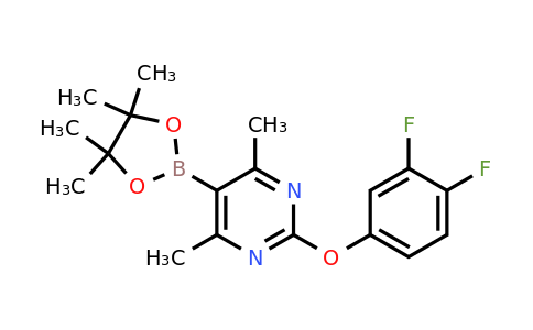 2304634-76-0 | 2-(3,4-Difluorophenoxy)-4,6-dimethyl-5-(4,4,5,5-tetramethyl-1,3,2-dioxaborolan-2-yl)pyrimidine
