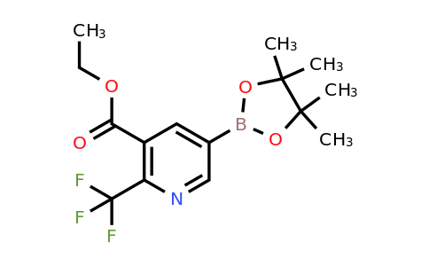 2304635-56-9 | Ethyl 5-(4,4,5,5-tetramethyl-1,3,2-dioxaborolan-2-yl)-2-(trifluoromethyl)nicotinate
