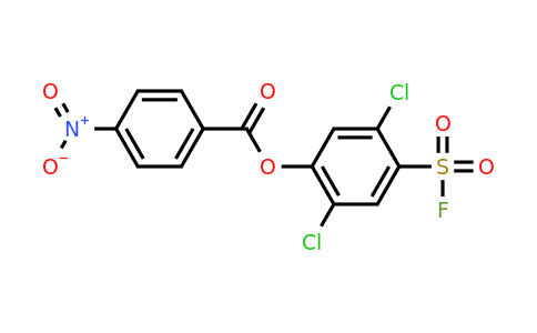 23383-86-0 | 2,5-Dichloro-4-(fluorosulfonyl)phenyl 4-nitrobenzoate