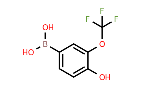 2364439-34-7 | (4-Hydroxy-3-(trifluoromethoxy)phenyl)boronic acid