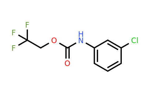 2366-82-7 | 2,2,2-Trifluoroethyl (3-chlorophenyl)carbamate