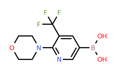 2377606-45-4 | (6-Morpholino-5-(trifluoromethyl)pyridin-3-yl)boronic acid