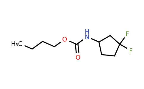 2385497-03-8 | butyl N-(3,3-difluorocyclopentyl)carbamate