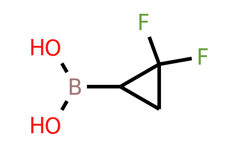 2408428-30-6 | (2,2-Difluorocyclopropyl)boronic acid