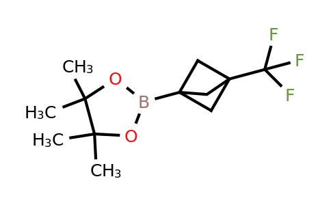 2410440-14-9 | 4,4,5,5-Tetramethyl-2-(3-(trifluoromethyl)bicyclo[1.1.1]pentan-1-yl)-1,3,2-dioxaborolane