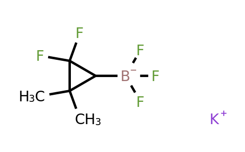 2416056-32-9 | Potassium (2,2-difluoro-3,3-dimethylcyclopropyl)trifluoroboranuide