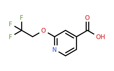 262296-01-5 | 2-(2,2,2-Trifluoroethoxy)isonicotinic acid
