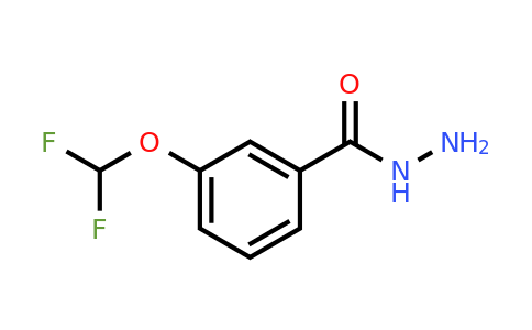321196-03-6 | 3-(Difluoromethoxy)benzohydrazide