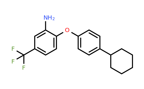 329063-84-5 | 2-(4-Cyclohexylphenoxy)-5-(trifluoromethyl)aniline