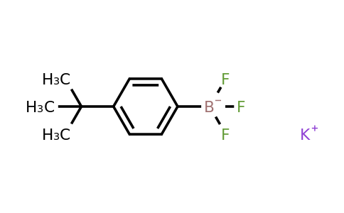 423118-47-2 | Potassium (4-tert-butylphenyl)trifluoroborate