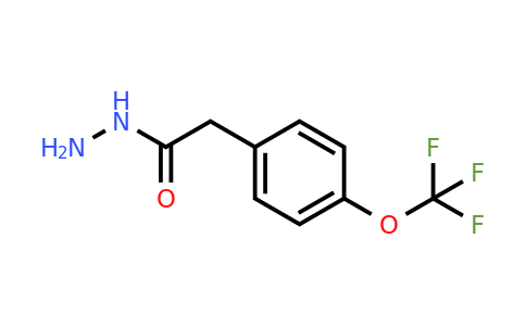 428508-17-2 | 2-[4-(TRifluoromethoxy)phenyl]acetohydrazide