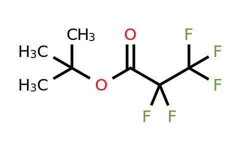 55258-28-1 | tert-butyl 2,2,3,3,3-pentafluoropropanoate