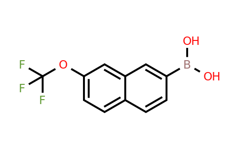 870822-72-3 | 2-(Trifluoromethoxy)naphthalene-7-boronic acid