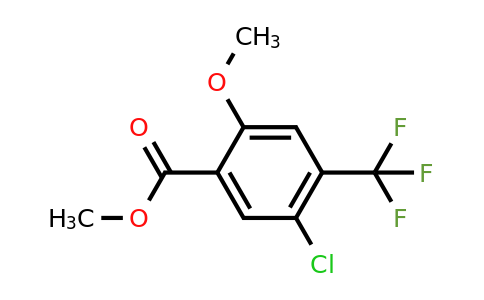 885518-15-0 | Methyl 5-chloro-2-methoxy-4-(trifluoromethyl)benzoate