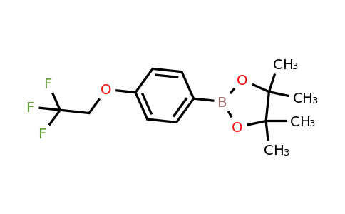 886528-42-3 | 4,4,5,5-Tetramethyl-2-(4-(2,2,2-trifluoroethoxy)phenyl)-1,3,2-dioxaborolane