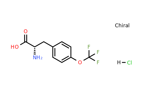 921609-34-9 | (S)-2-Amino-3-(4-(trifluoromethoxy)phenyl)propanoic acid hydrochloride