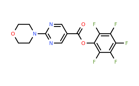 941717-05-1 | Pentafluorophenyl 2-morpholin-4-ylpyrimidine-5-carboxylate