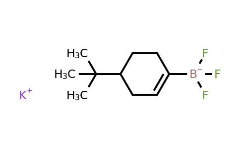 945760-93-0 | Potassium (4-tert-butylcyclohex-1-en-1-yl)trifluoroborate